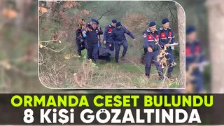 Ormanda erkek cesedi bulundu; Cinayet şüphesi