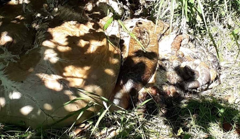 'Bu nasıl müslümanlık?' diye tepki gösterdi