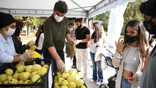 1 ton ayva 1 saatte tükendi