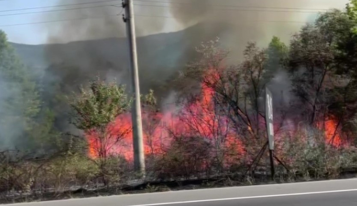 10 hektar alan yandı