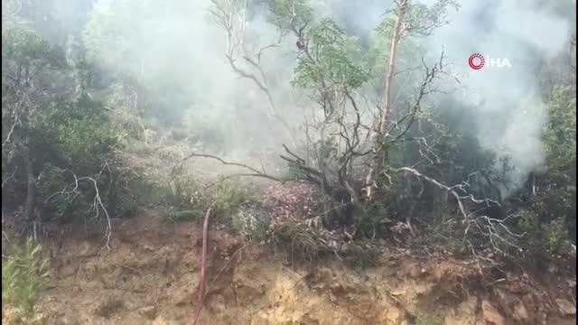 10 hektarlık orman kül oldu