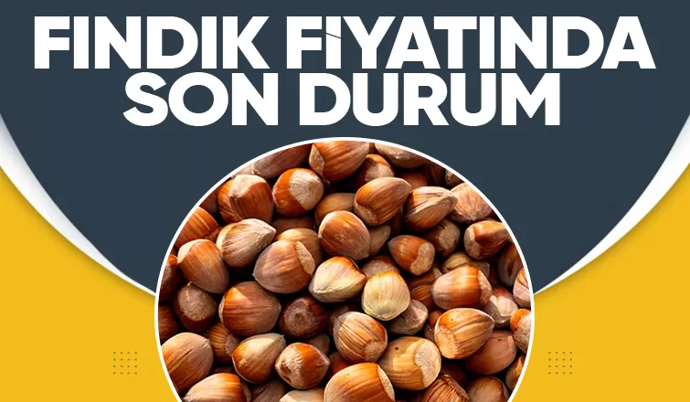 10 Temmuz fındık fiyatları
