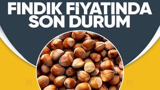 10 Temmuz fındık fiyatları