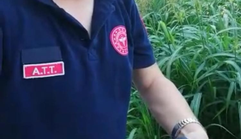 112 personelinden uçamayan güvercine yardım eli