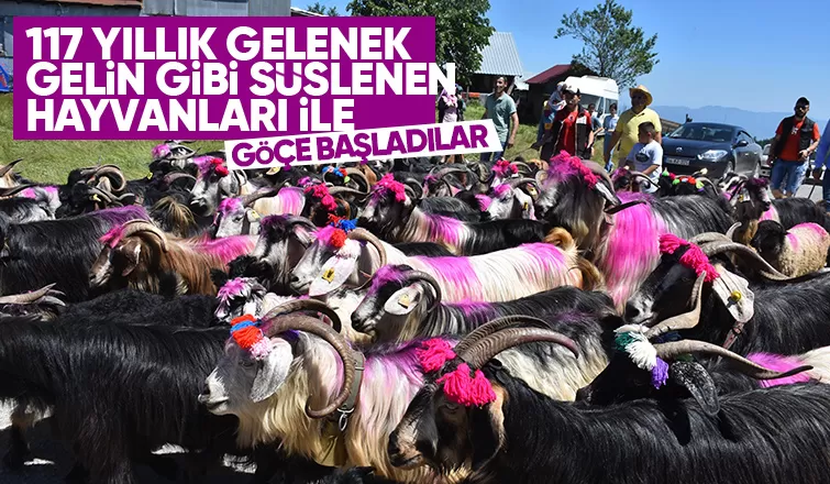 117 yıllık yayla göü