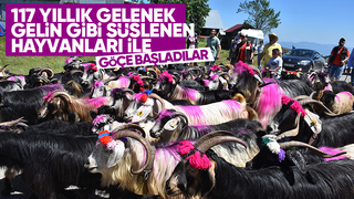 117 yıllık yayla göü