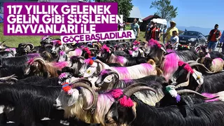 117 yıllık yayla göü
