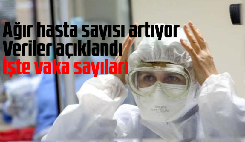 12 Ağustos korona verileri