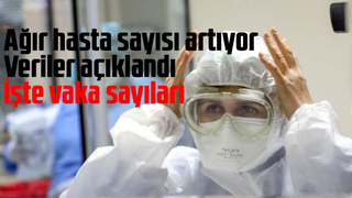 12 Ağustos korona verileri