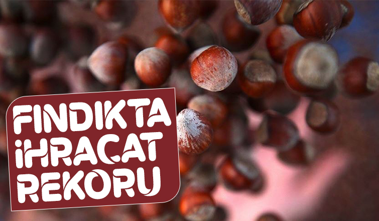 122 ülkeye 344 bin ton fındık ihraç edildi