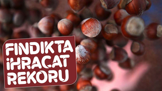 122 ülkeye 344 bin ton fındık ihraç edildi