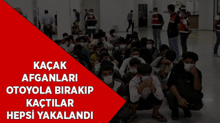 13 Afgan otoyol kenarına bırakıldı