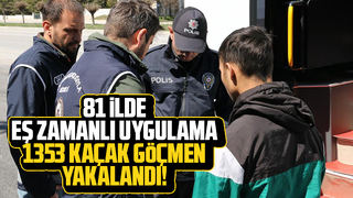 1353 kaçak göçmen yakalandı!