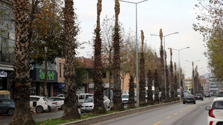 15 Temmuz Caddesi kışa hazır