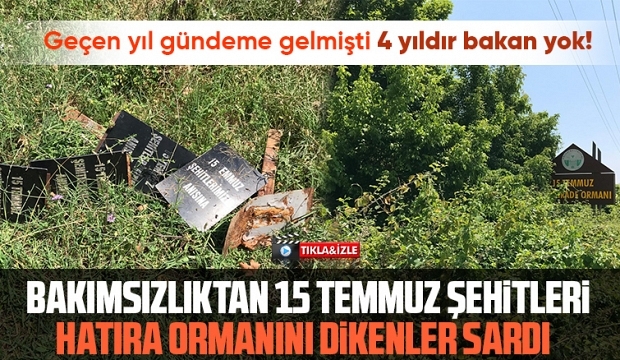 15 Temmuz Şehitleri ve Milli İrade Ormanı'nı dikenlerle kaplı