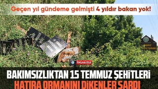 15 Temmuz Şehitleri ve Milli İrade Ormanı'nı dikenlerle kaplı