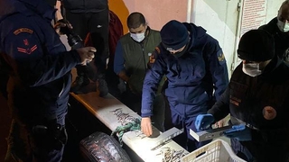 15 ton hamsiye el konuldu