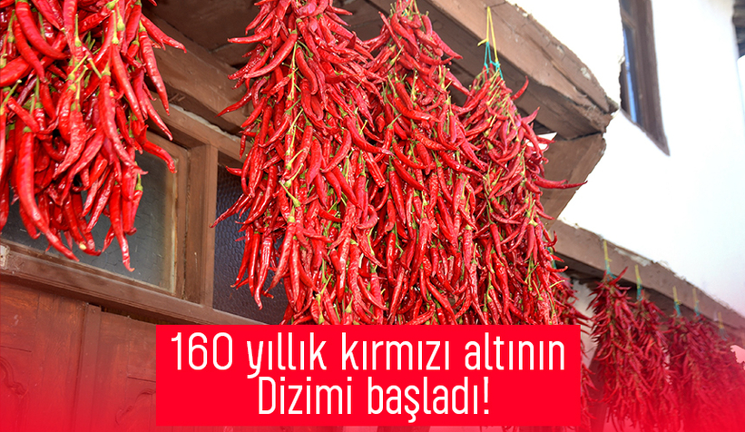 160 yıldır aynı tohumdan acı biber üretiyorlar
