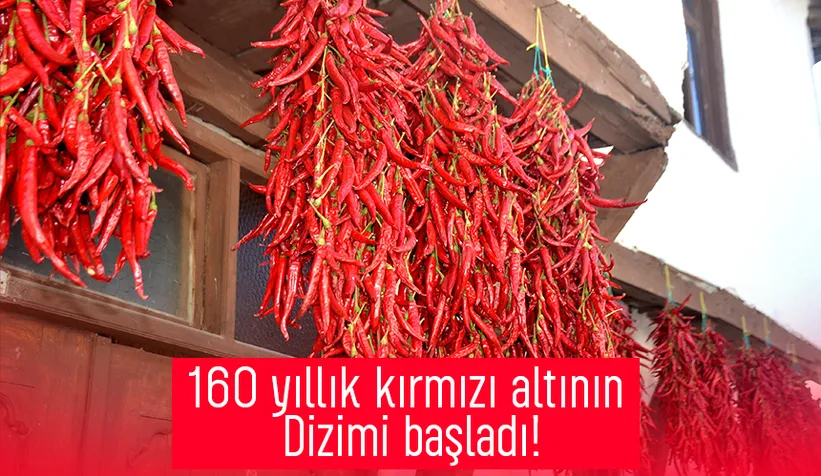 160 yıldır aynı tohumdan acı biber üretiyorlar