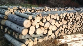 175 okul için yakacak ihalesi