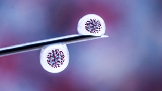 18 türün birleşiminden yeni korona mutasyonu çıktı