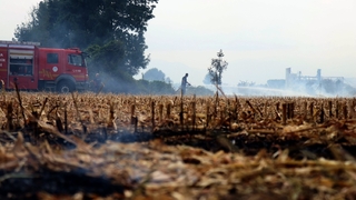 1993'den bu yana yasak