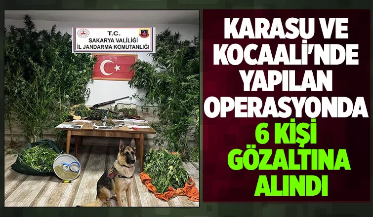 2 ilçede uyuşturucu operasyonu