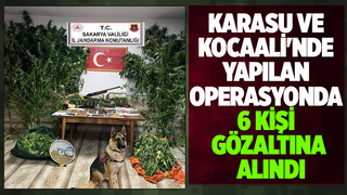 2 ilçede uyuşturucu operasyonu