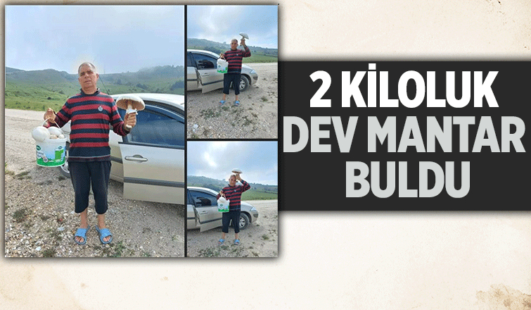 2 kiloluk kuzugöbeği mantarı buldu
