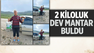 2 kiloluk kuzugöbeği mantarı buldu