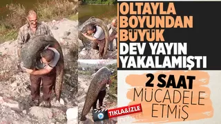 2 metreden büyük dev yayını böyle yakalamış