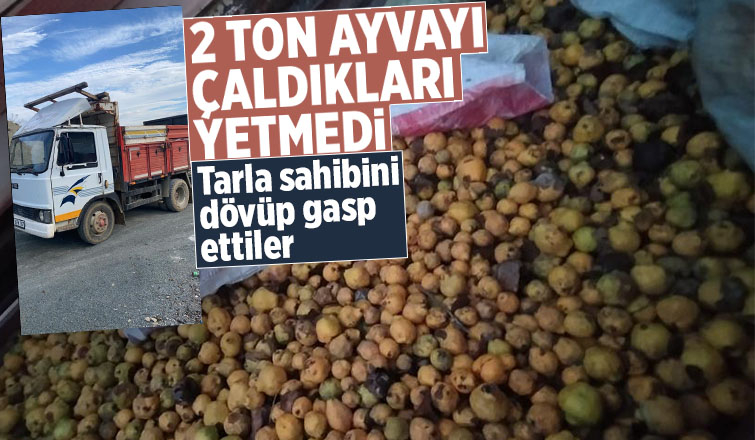 2 ton ayva çalıp tarla sahibini gasp ettiler