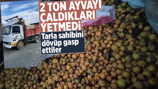 2 ton ayva çalıp tarla sahibini gasp ettiler