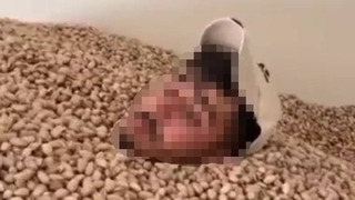 2 ton fıstığa el konuldu