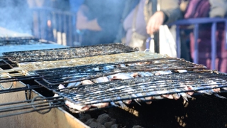 2 ton hamsi dağıtıldı