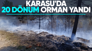 20 dönümlük orman yandı