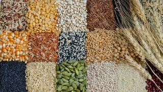 2021'de Türkiye'de bitkisel üretim geriledi