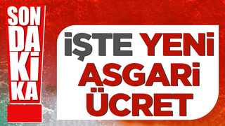 2022 asgari ücreti açıklandı: İşte rakam
