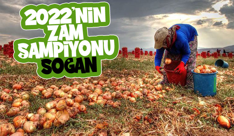 2022'de tarlada fiyat artışında lider kuru soğan
