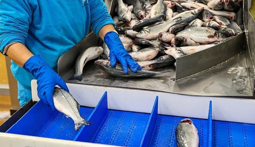 2023 yılında su ürünlerinde ihracat hedefi 2 milyar dolar