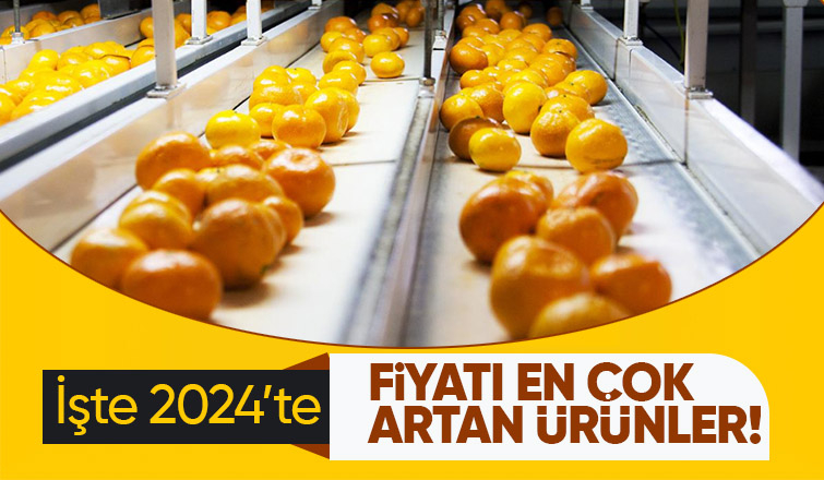 2024 de fiyatı en çok artan ürünler belli oldu