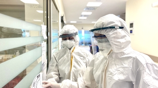 21 Eylük korona verileri