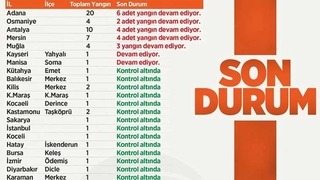 21 ilde çıkan 63 yangının 42'si kontrol altına alındı