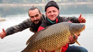 22 kiloluk sazan yakaladılar