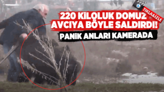 220 kiloluk domuz avcıya böyle saldırdı
