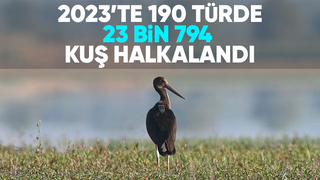 23 bin 794 kuş halkalandı