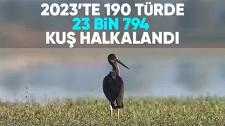 23 bin 794 kuş halkalandı