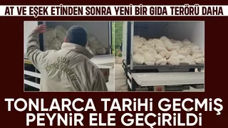 23 ton tarihi geçmiş lor peyniri ele geçirildi