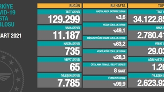 24 saatte 11 bin 187 kişinin testi pozitif çıktı