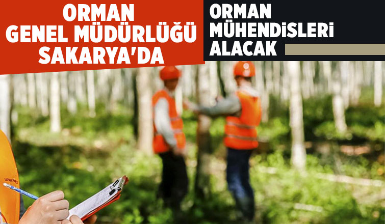 249 sözleşmeli orman mühendisi alınacak